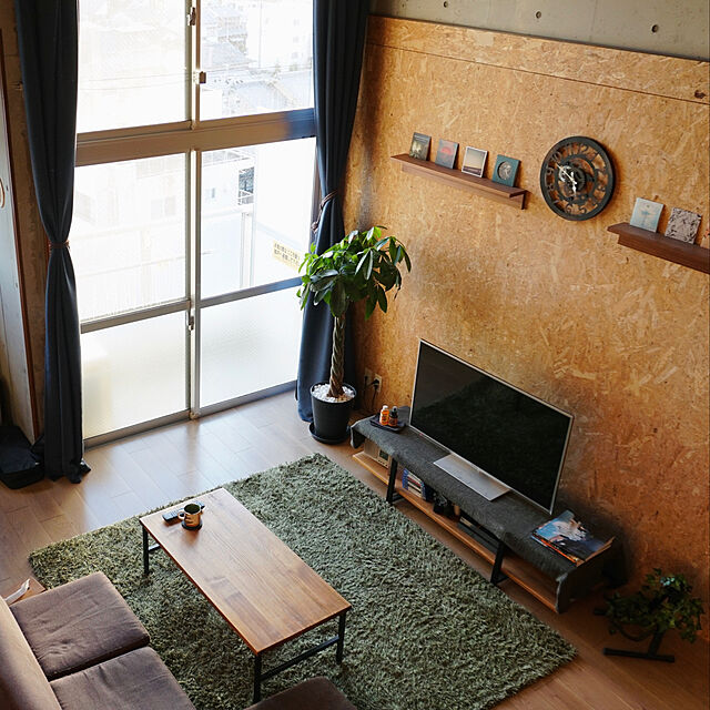tozawarosの-観葉植物 本物 パキラ 10号鉢 【セラート鉢】の家具・インテリア写真