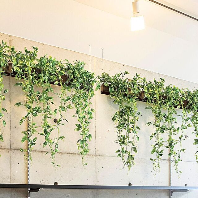 WALL_MATESの-グリーンモード 正規品 観葉植物 デザインポット(ホワイト)60cm GR4052｜壁掛け フェイクグリーン おしゃれなポトス 送料無料の家具・インテリア写真
