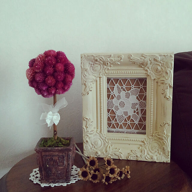 Renの-■新鮮花壇苗■千日紅（センニチコウ）ラズベリーフィールド10．5cmポット苗の家具・インテリア写真