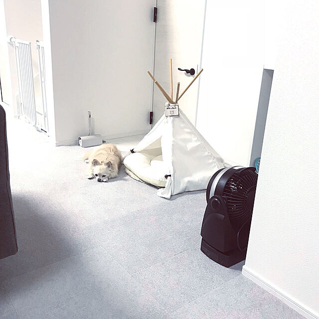 Yumehinaの-ティピーテント 猫 ネコ 犬 イヌ ペット ベッド ボリュームクッション付 テント 小型犬 猫用 かわいい おしゃれ インスタ映え 簡単組み立て式 ペット用の家具・インテリア写真