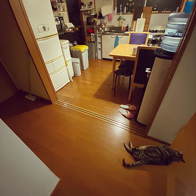 cat-number9のニトリ-ダストボックス 35L (セパ スリムブンベツ2ダン 35) の家具・インテリア写真
