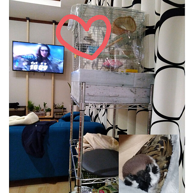saya147kaのニトリ-スチールラック CUSTOM幅60cm 2段(CR) の家具・インテリア写真