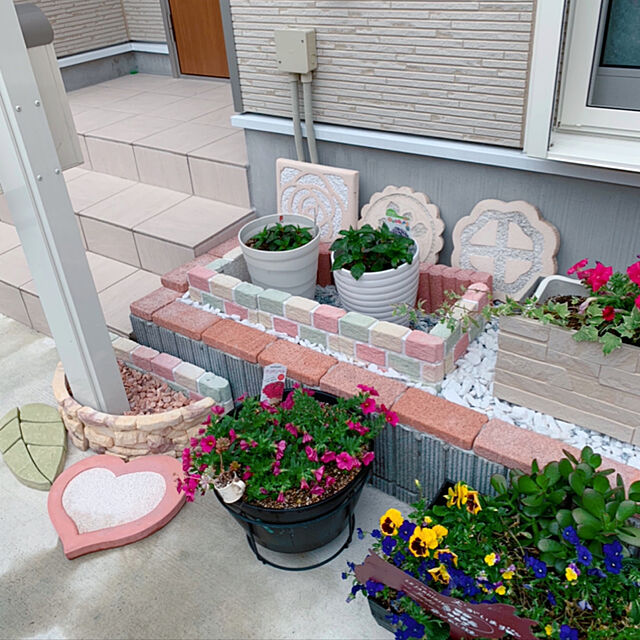 makoのサカタのタネ-サンパチェンス(R)／サンパティオ(R) オレンジの家具・インテリア写真