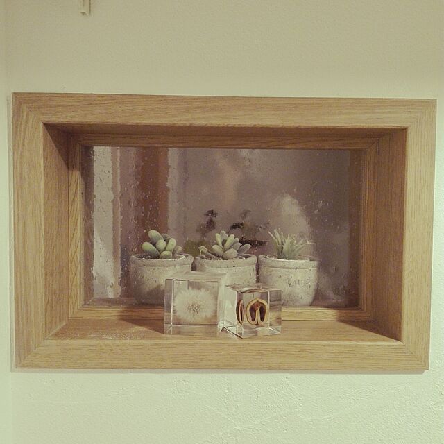 mayuko.tの-宙-sola- ソラ sola cube オニグルミ アクリルキューブウサギノネドコの家具・インテリア写真