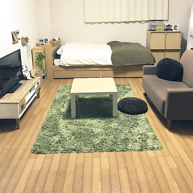 wabfmatsuriのニトリ-ダストボックス(セキソウマルガタNA 9L) の家具・インテリア写真