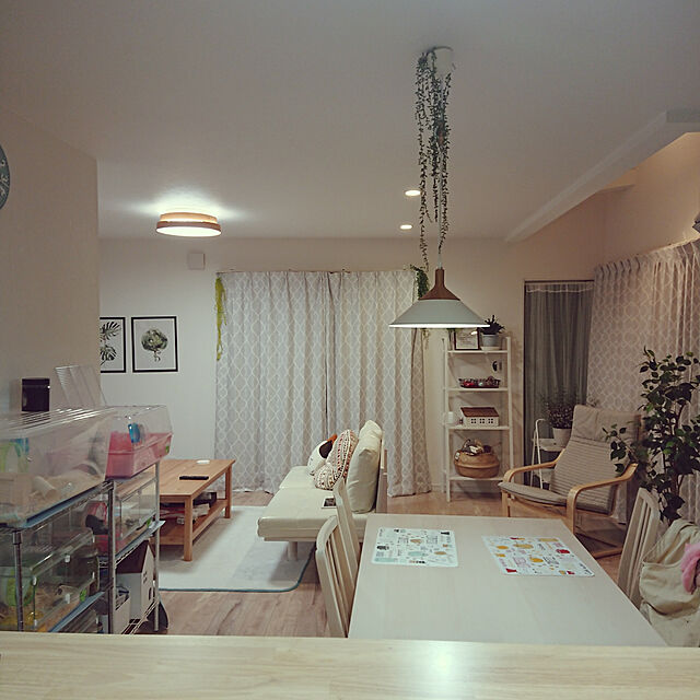 hanakusukuの-salut!(サリュ) リサイクルウッドおうちケーブルBOXの家具・インテリア写真