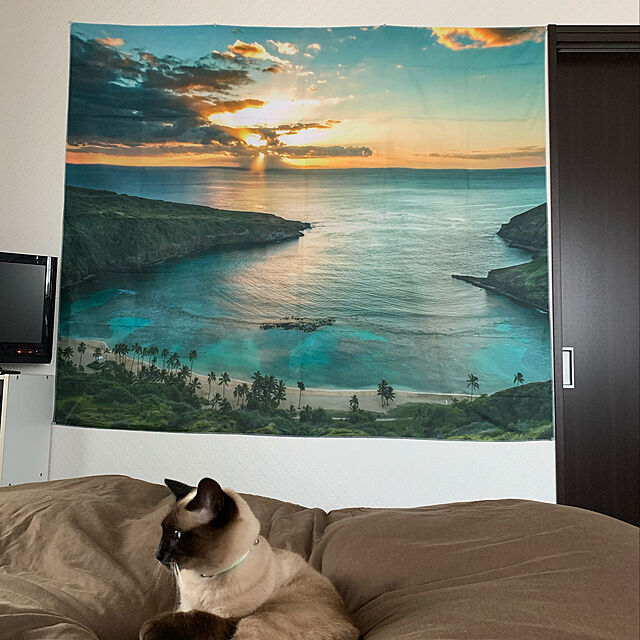 shi622のTANGANGEL-TANGANGELによるハワイの装飾のタペストリー、オアフ島のハナウマ湾の日の出、暗い雲の海岸線を通しての日差し、寝室のリビングルームの寮の壁掛け、60 x 51インチ、ティールとメリーゴールドの家具・インテリア写真