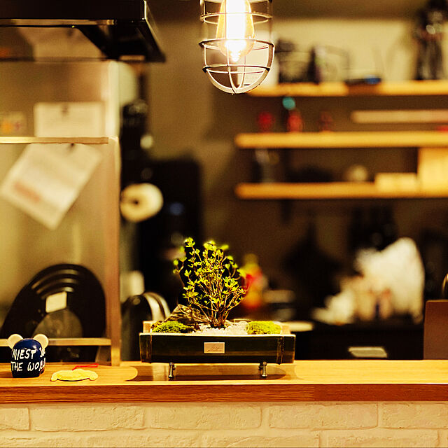 Zubolifeのインターフォルム-特典付 ペンダントライト LED 対応 おしゃれ 照明器具 天井照明 アンティーク ダイニング キッチン バウ LT-8252 インターフォルムの家具・インテリア写真