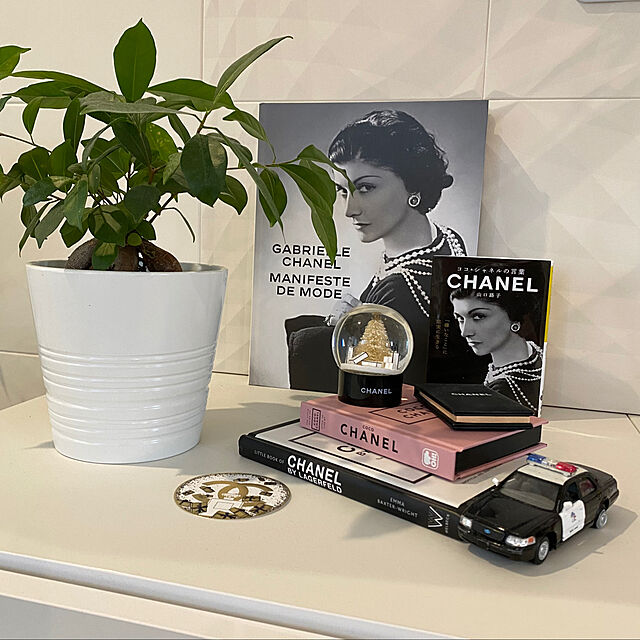 ChitoseImanishiのWelbeck-Little Book of Chanel by Lagerfeld: The Story of the Iconic Fashion Designer (English Edition)の家具・インテリア写真