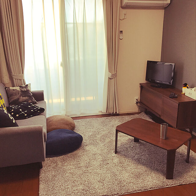 jensenのニトリ-低反発ヌードフロアクッション(2 50x56) の家具・インテリア写真