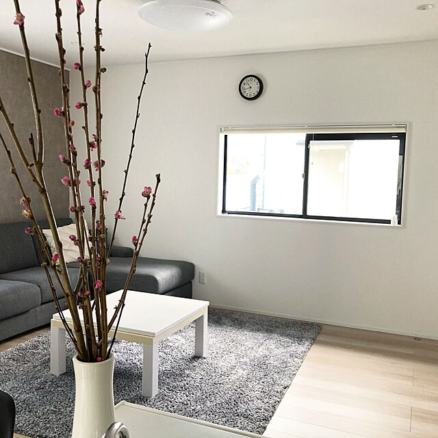 sakiのニトリ-布張りカウチソファ(NポケットA1N HI DR-DMO) の家具・インテリア写真