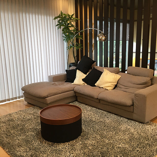 sakura84のニトリ-グリーン(QL パキラ) の家具・インテリア写真
