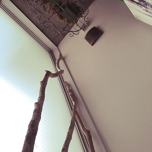 mononofuのキシマ-プレリエ 消臭アーティフィシャルグリーンL（キシマ 消臭グッズ 空気清浄 造花 デオドラント 観葉植物）の家具・インテリア写真