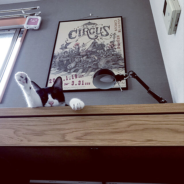 CHACHAのアース・ペット-【動物用医薬部外品】 アース・ペット 薬用 蚊よけネット 130日用 犬猫用の家具・インテリア写真