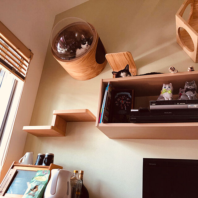 sakura_171220のMYZOO-MYZOO 宇宙船 猫ハウス ペット用ベッド ドーム状 壁付け対応 床置き対応 [空気穴で季節問わず快適] お手入れ簡単 天然素材 全猫種 小型犬 全年齢対応 GAMMA オーク 左開きの家具・インテリア写真