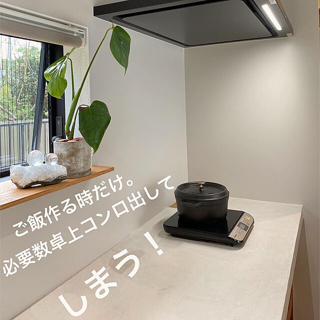 MUのニトリ-RGダズトワゴン(25L シングル) の家具・インテリア写真