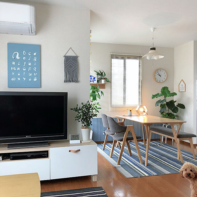 blueberryのニトリ-汚れが落としやすいダイニングラグ(NチェーンループBE 180X220) の家具・インテリア写真