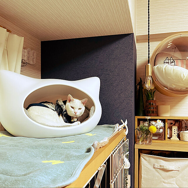 hanaのオーエフティー-【OFT】 ねころん しろ 猫顔モチーフ ドーム型ベッド ファーマット付き ホワイト 猫の家具・インテリア写真