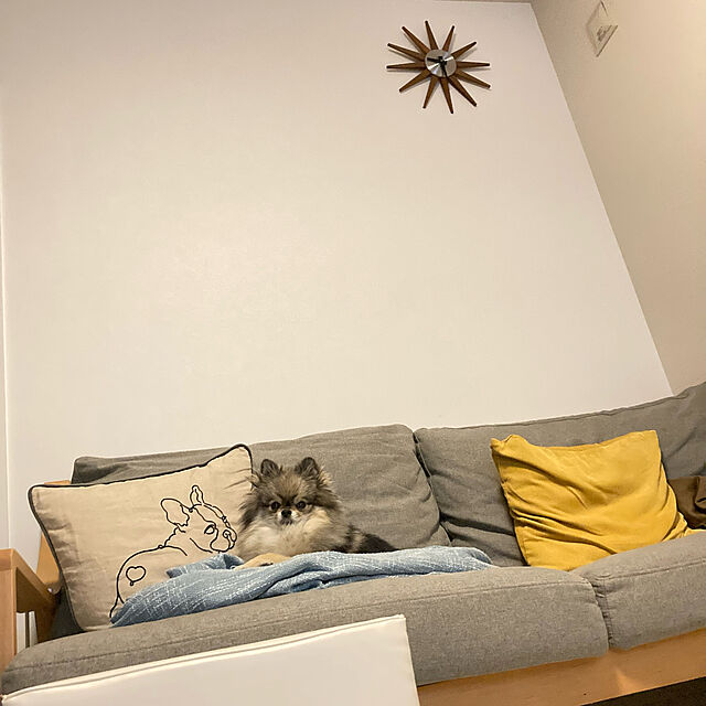 Pecoのニトリ-静音掛け時計 セントレSW の家具・インテリア写真