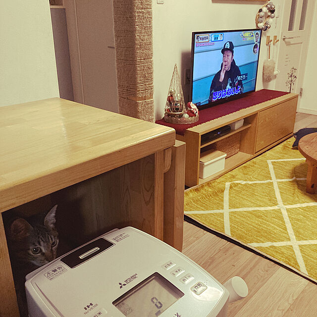 masamasaのニトリ-ボール10P レッドグリーンミックス(OKR) の家具・インテリア写真