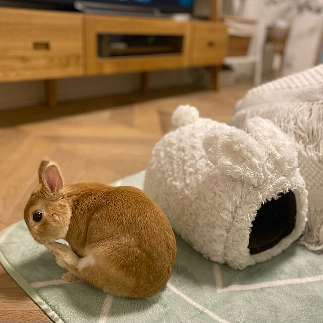 Minの-「うさふわハウス」と「リバーシブルヒーター M」のセット/ハウス ベッド 小動物 ウサギ モルモット フェレット マルカンの家具・インテリア写真