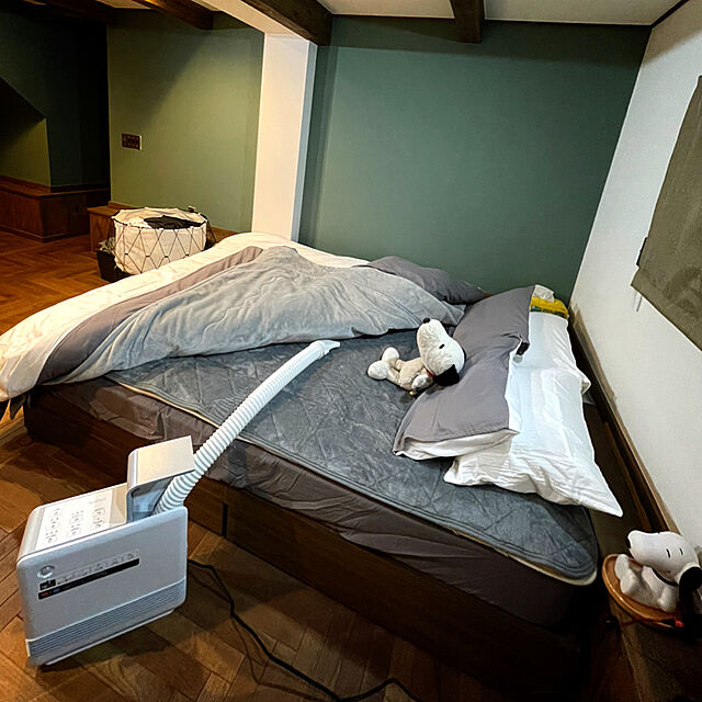 snoopyのニトリ-枕カバー(コットンウォッシュ WH S) の家具・インテリア写真