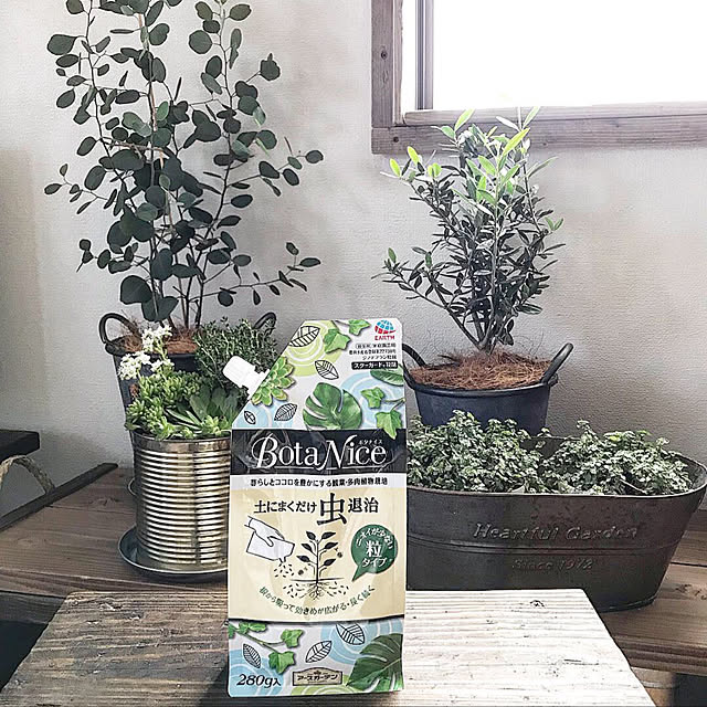 写真付きレビュー Botanice ボタナイス シリーズ ボタナイス 土からわいたコバエ退治 粘着タイプ 土にまくだけ虫退治 粉タイプ 飛びまわる コバエ退治 スプレータイプ 観葉植物 アース製薬の通販商品 口コミ情報 Roomclipショッピング