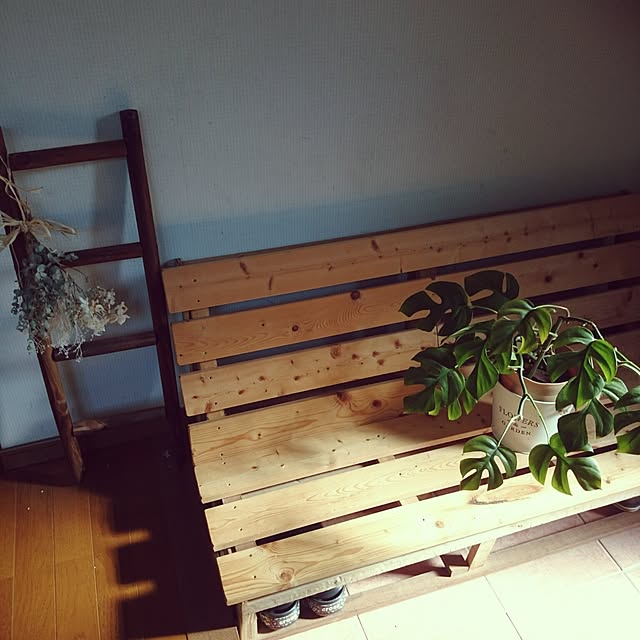 R.の-ドライフラワー花材　バンクシア・メンジアイの家具・インテリア写真