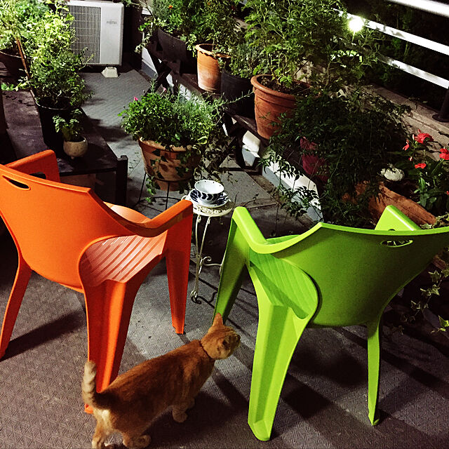 lapoの不二貿易-不二貿易 ガーデン プラスチック チェア アンジェロ 野外 屋外 使用 可能 ホワイトの家具・インテリア写真