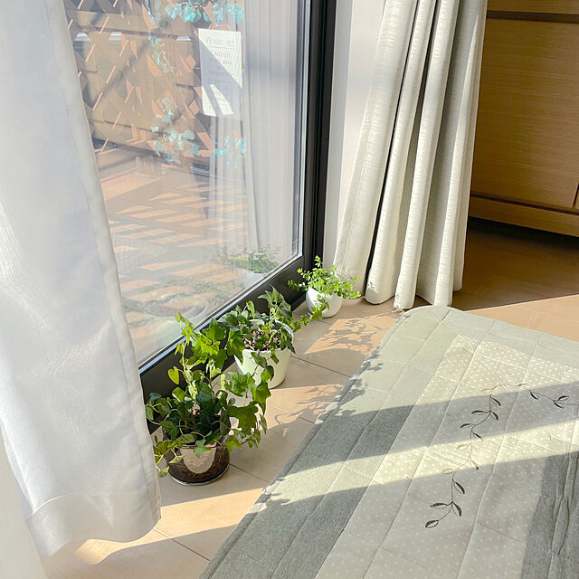 Minoriのニトリ-ミラー・花粉キャッチレースカーテン(キャッチCグリップ 100X198X2) の家具・インテリア写真