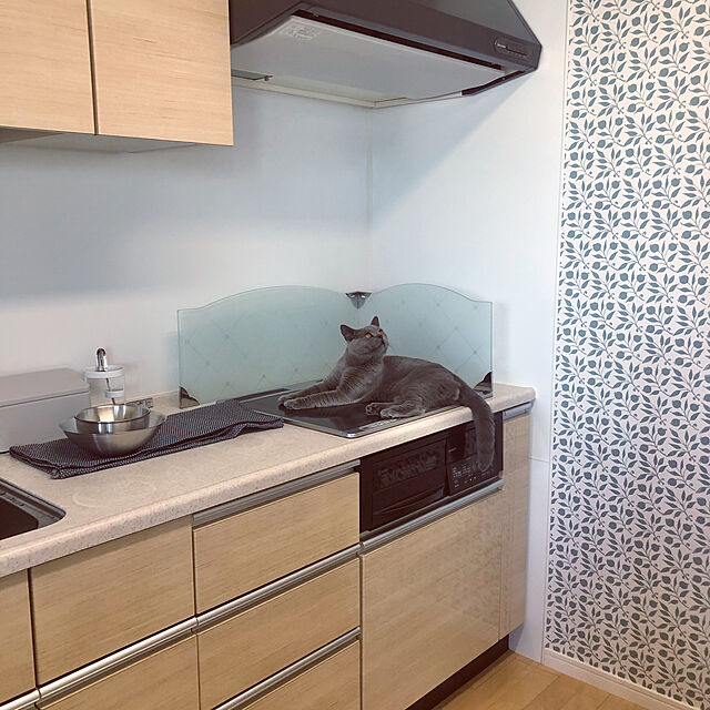 GUMIMINのideaco-ideaco チューブラー フラット レクタングルの家具・インテリア写真