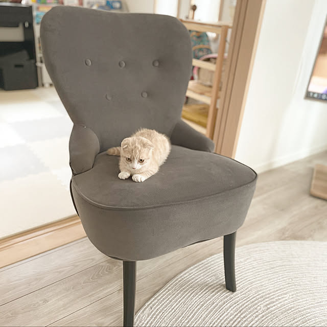 IKEA REMSTA レームスタ パーソナルチェア 一人用ソファ・パーソナル