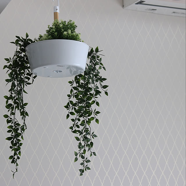 osonosanのイケア-【IKEA イケア】【BITTERGURKA ビッテルグルカ】ハンギングプランター ホワイト 植木鉢の家具・インテリア写真