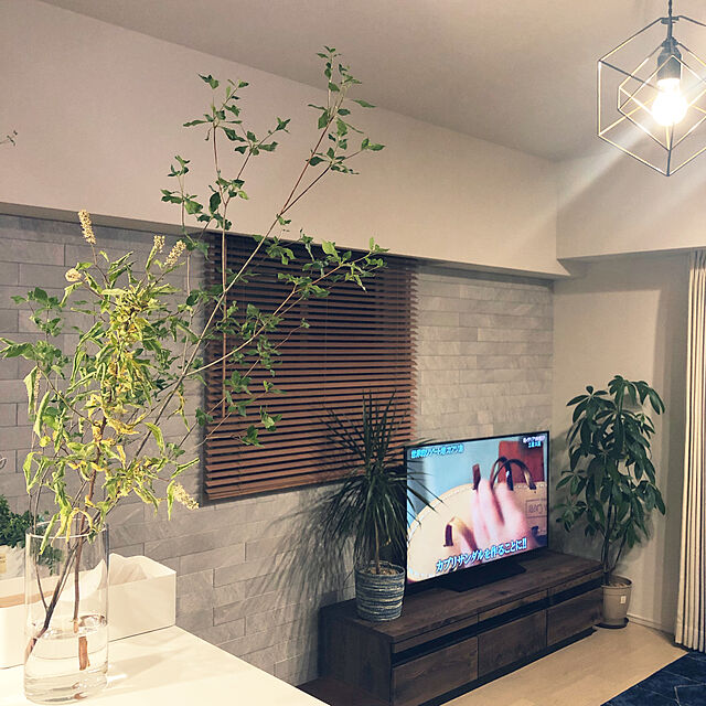 chikuの-木目調テレビ台の家具・インテリア写真