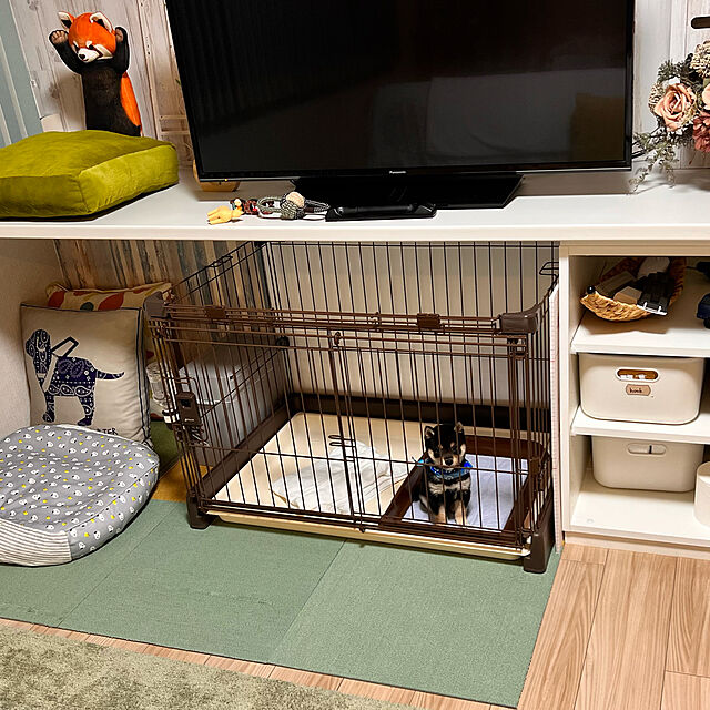 aboruの-マルカン フレンドサークルスライドドアM DP-458 （犬用ケージ）【ネコポス不可】の家具・インテリア写真