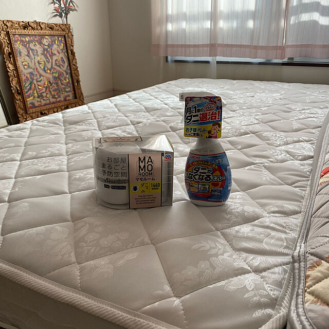 alchoの大日本除蟲菊-ダニがいなくなるスプレー 駆除 防止 ソープの香り 畳 寝具 ソファー 退治 予防 300ミリリットル (x 1)の家具・インテリア写真
