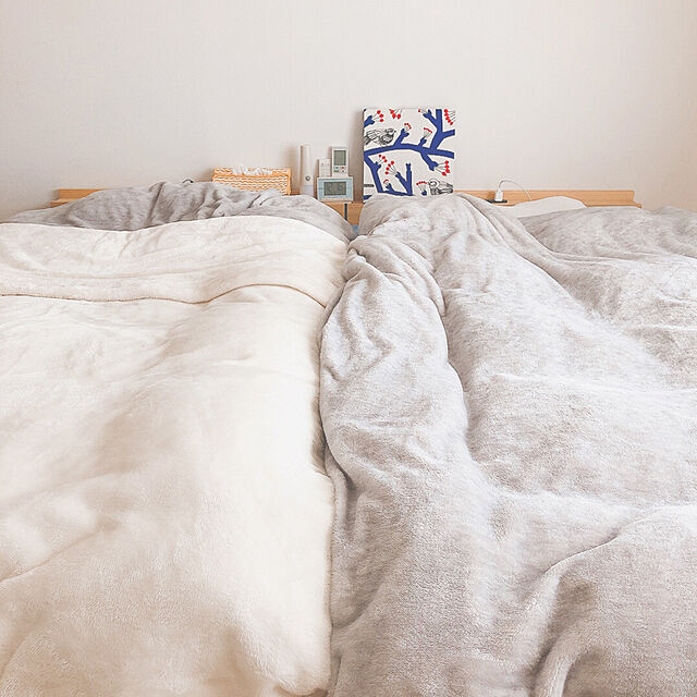 LOKKIのニトリ-毛布にもなる掛け布団カバー シングル(NグリップNウォームWSP i-n MO S) の家具・インテリア写真