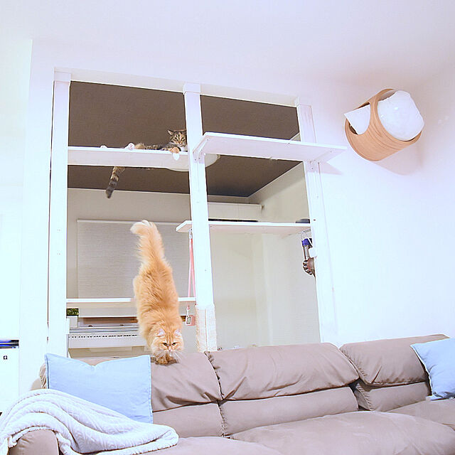 maki.の-MYZOO マイズー 宇宙船GAMMA キャットハウス おしゃれ 猫用品 猫 ステップ 遊び場 ネコハウス全猫種 全年齢対応 インテリアの家具・インテリア写真