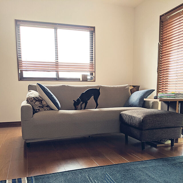 shizuponのニトリ-スローケット(アニマルズH) の家具・インテリア写真