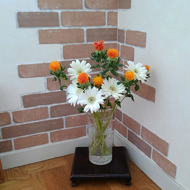 Renのトーホク-【種子】紅花（ベニバナ）トーホクのタネの家具・インテリア写真