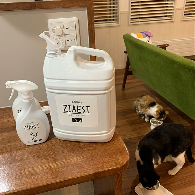 mikeume7の-ジアエストプロ ZIAEST PRO (5L) 猫用 除菌・消臭剤 次亜塩素酸水 トイレ用品 菌 ウイルス 除去の家具・インテリア写真