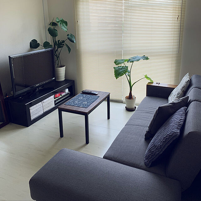 mayuuuuのニトリ-ジャンボクッションカバー(NコットンリネンBL) の家具・インテリア写真
