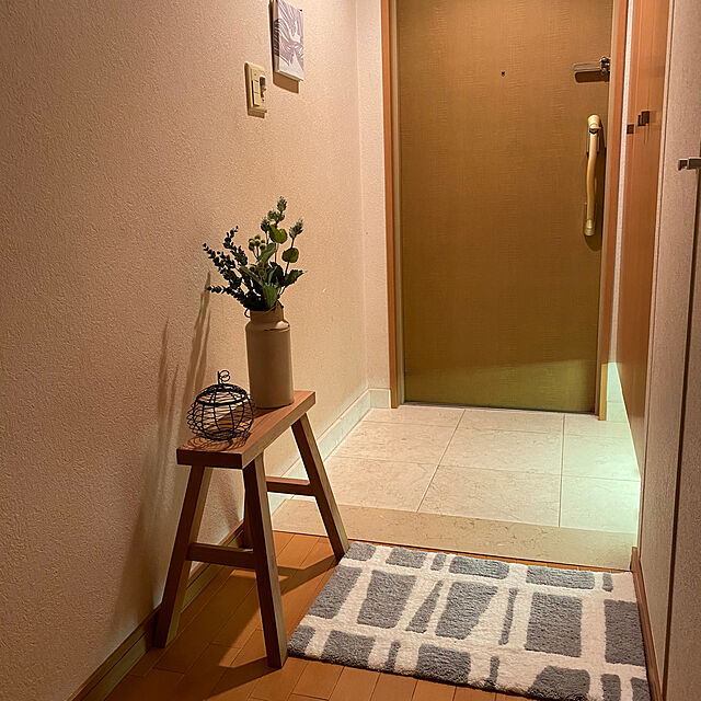 napの-洗える玄関マットの家具・インテリア写真