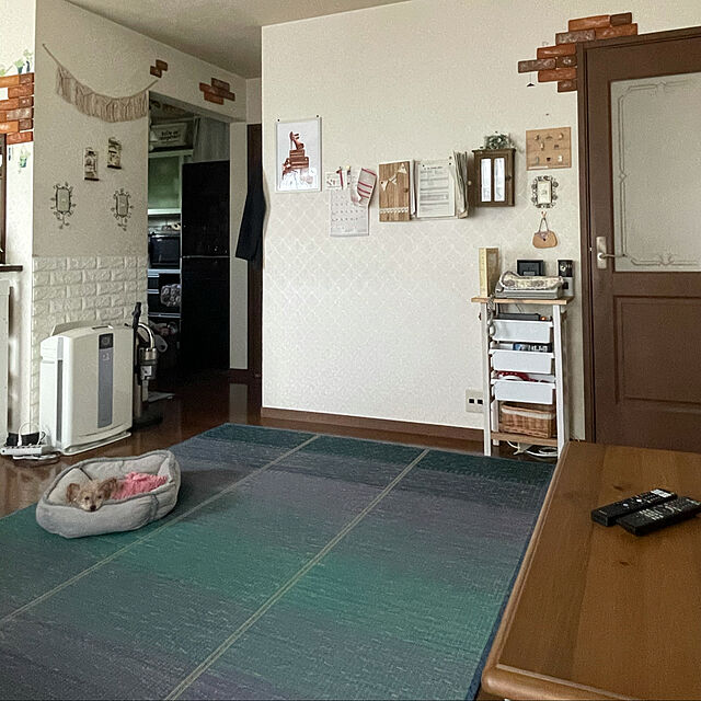 RUFFYのエーモン(amon)-MYST(マイスト) 室内装飾用レンガ風ライトブリック サドルブラウン色 約100×60×厚み10mm 1個 (5314)の家具・インテリア写真