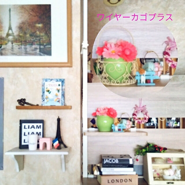 reikaのアイリスオーヤマ-ウッドウォールラック ハーフ棚板付き WLR-HT62の家具・インテリア写真