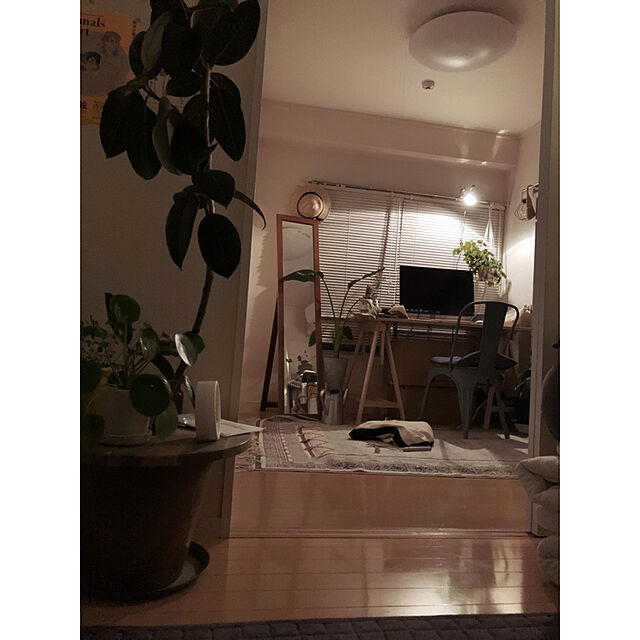 yukiatarIの-植木鉢 プラ鉢 プラポット トール20 頑丈 おしゃれ 塊根植物 多肉 黒プラスチック鉢 コーデックスの家具・インテリア写真