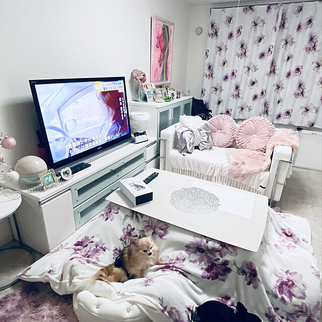meuのニトリ-2人用アームソファ(2Pソファ グレコ LSー994 WH) の家具・インテリア写真
