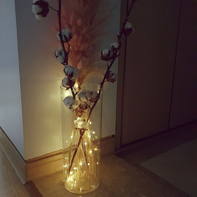 KAORIの-パンパスグラス　ピンクフェザー （ ピンク花 ） 10.5cmポット苗の家具・インテリア写真