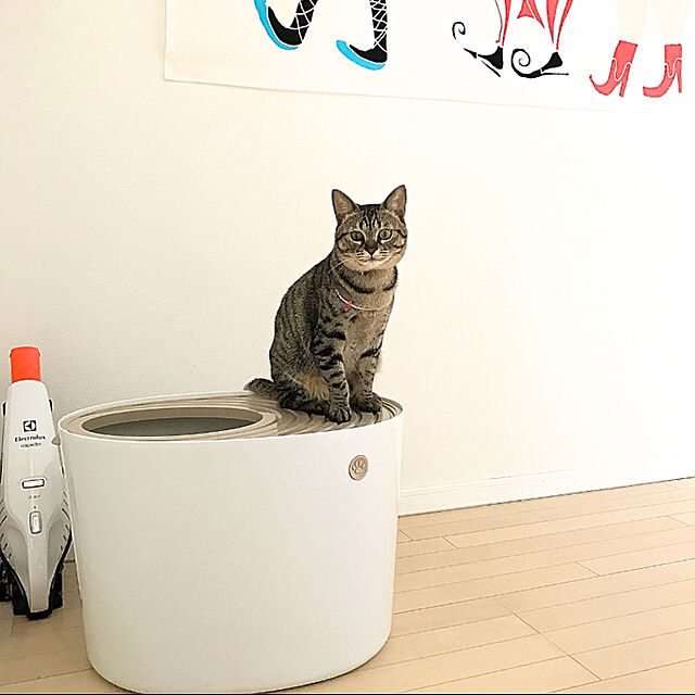 kettiのアイリスオーヤマ(IRIS OHYAMA)-アイリスオーヤマ 猫用トイレ本体 上から猫トイレ (飛び散らない) ホワイト プチの家具・インテリア写真