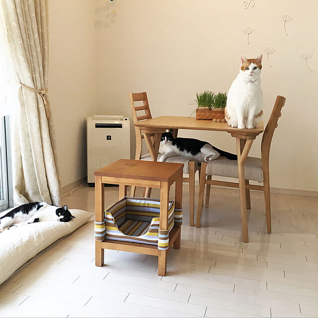 bikkeのニトリ-ダイニングテーブル(フィルン80 LBR) の家具・インテリア写真